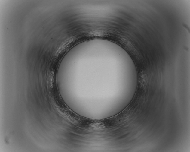 X0000101660544200807241420