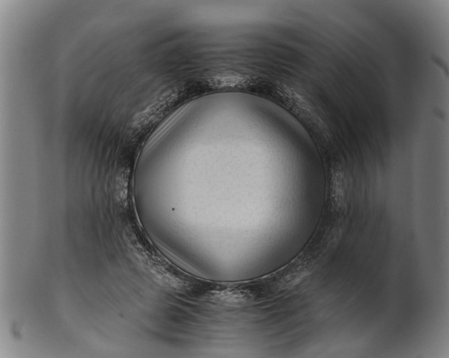 X0000101660545200807241420