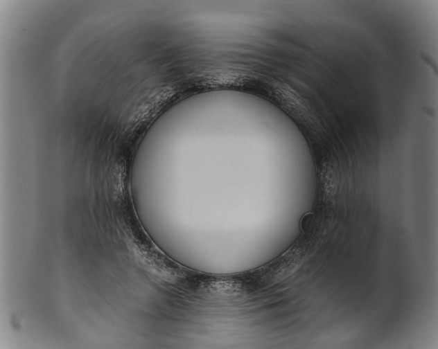 X0000101660546200807241420