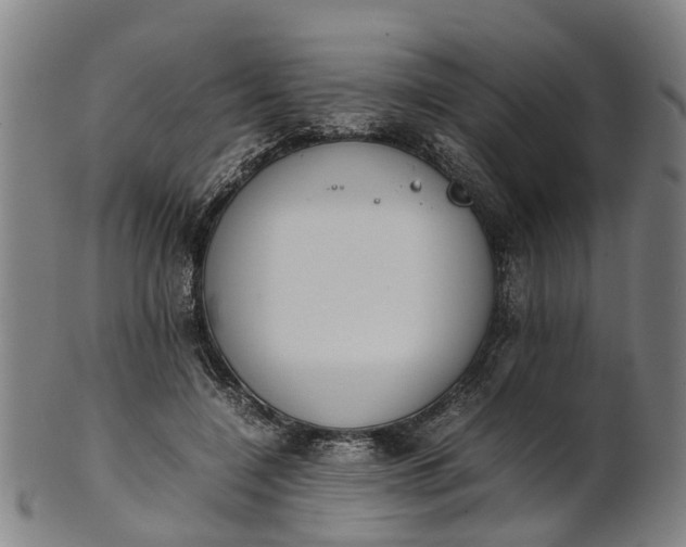 X0000101660548200807241420