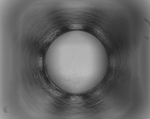 X0000101660549200807241420