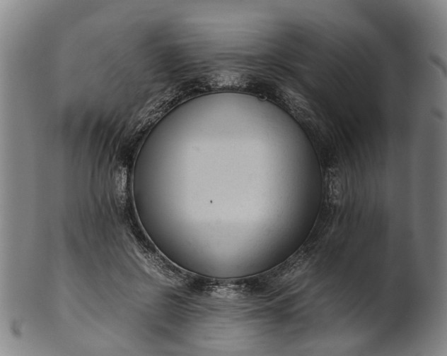 X0000101660550200807241420