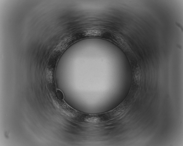 X0000101660551200807241420