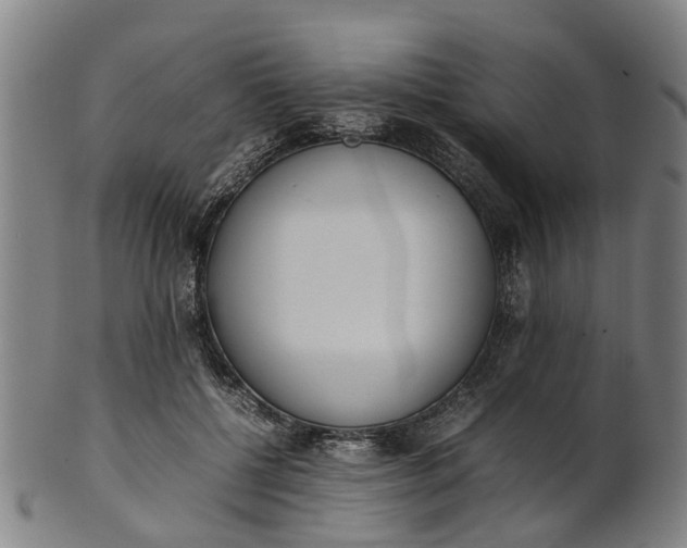 X0000101660552200807241420