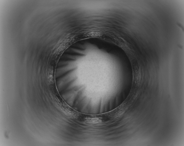 X0000101660553200807241420