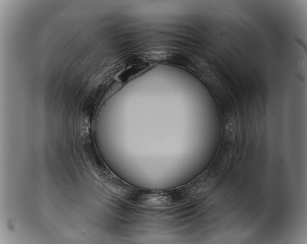 X0000101660555200807241420