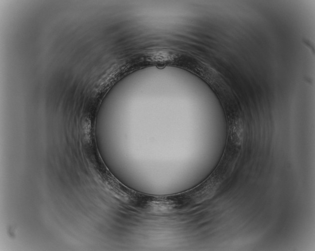 X0000101660556200807241420