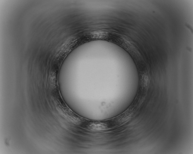 X0000101660557200807241420