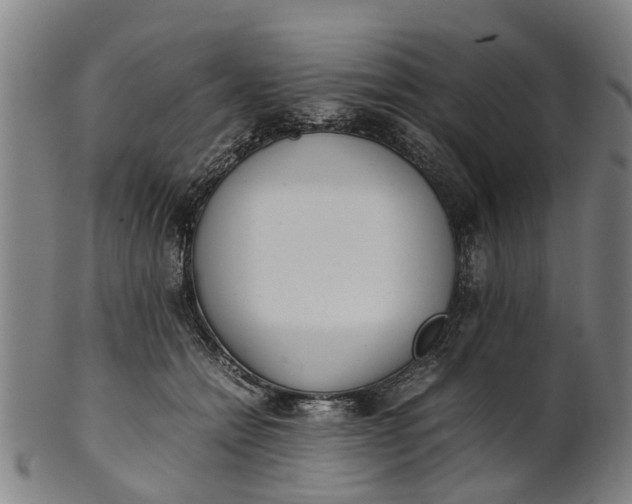 X0000101660558200807241420