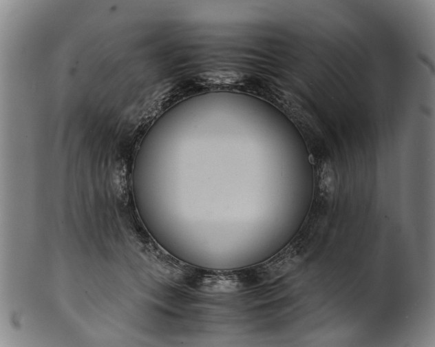 X0000101660559200807241420