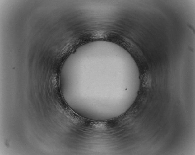 X0000101660560200807241420