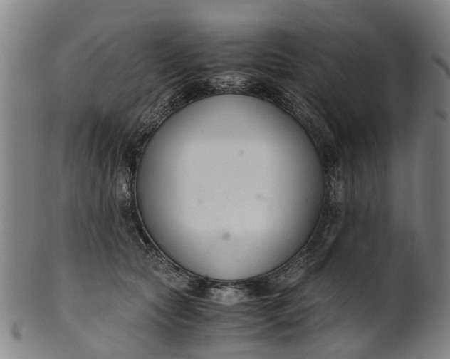 X0000101660561200807241420