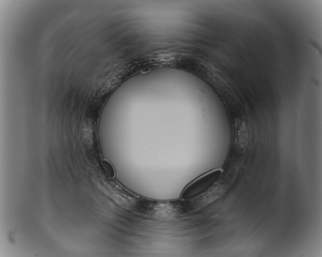 X0000101660562200807241420