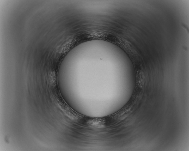 X0000101660563200807241420