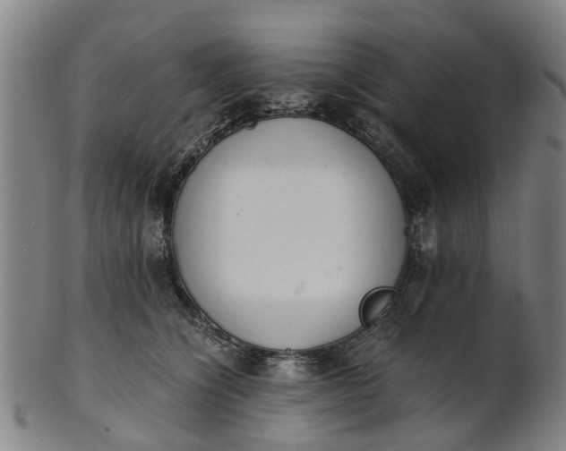 X0000101660564200807241420