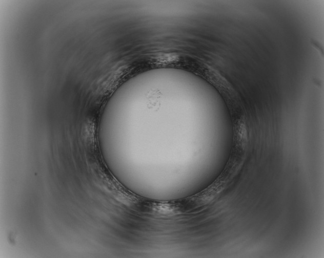 X0000101660565200807241420