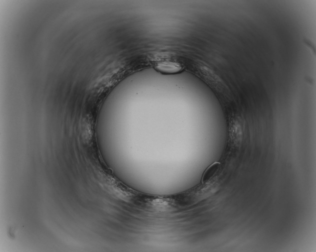 X0000101660566200807241420