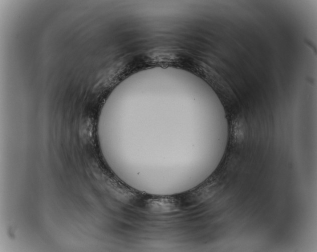 X0000101660567200807241420