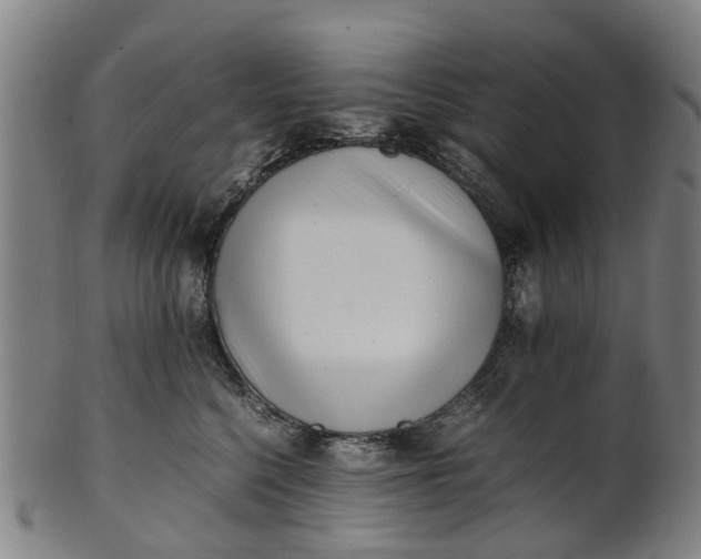 X0000101660568200807241420