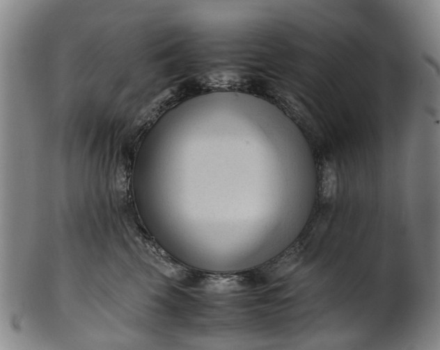 X0000101660569200807241420