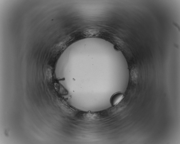 X0000101660570200807241420