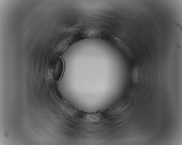 X0000101660571200807241420