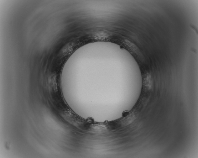 X0000101660572200807241420