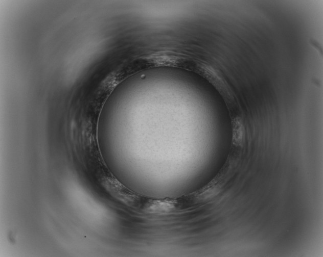 X0000101660573200807241420