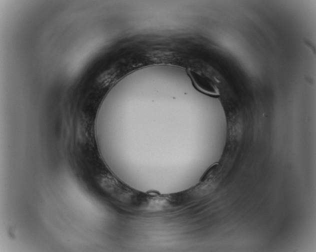 X0000101660574200807241420