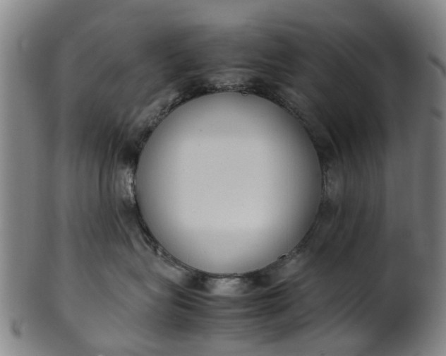 X0000101660575200807241420