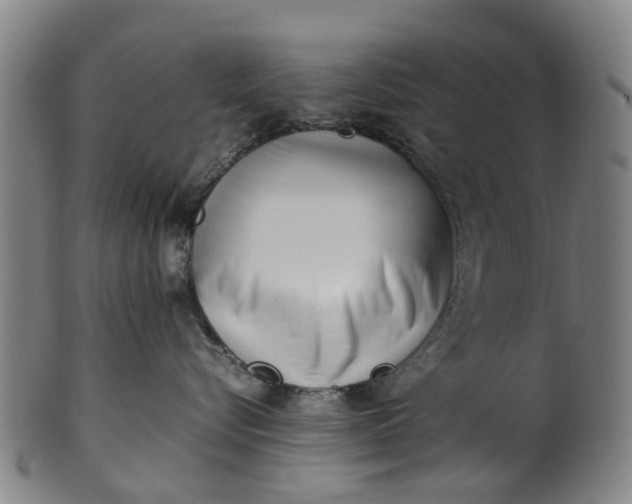 X0000101660576200807241420