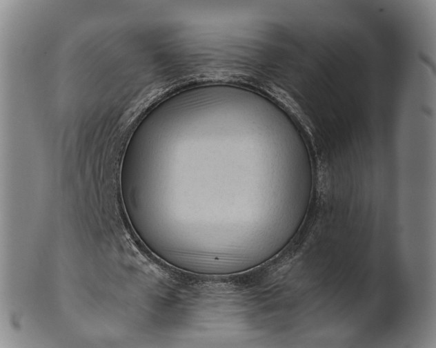 X0000101660577200807241419