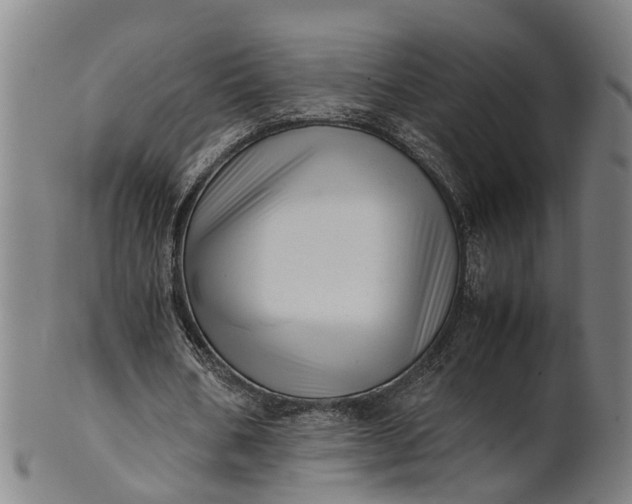 X0000101660578200807241419