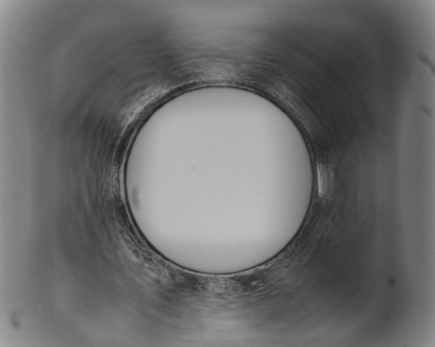 X0000101660579200807241419