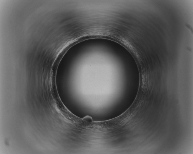 X0000101660580200807241419