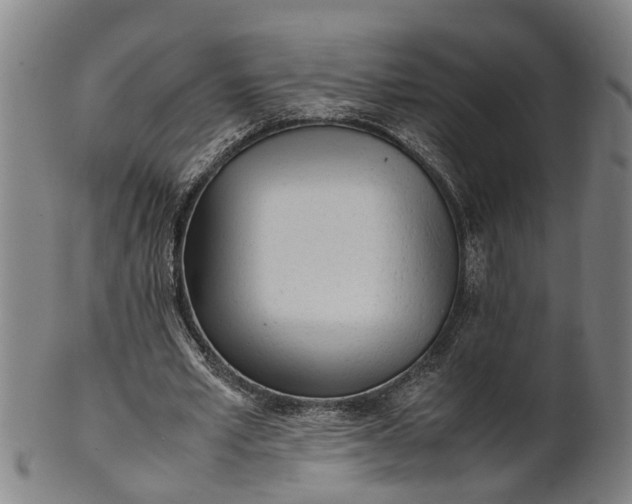 X0000101660581200807241419