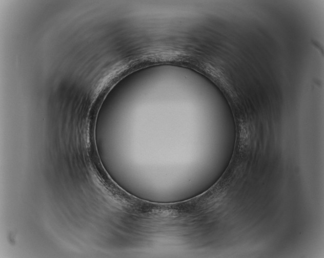 X0000101660582200807241419