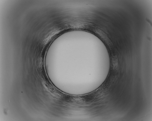 X0000101660583200807241419