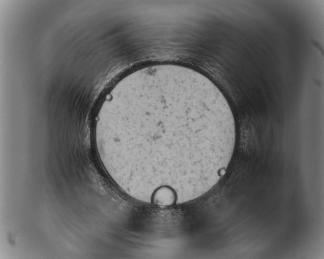 X0000101660584200807241419