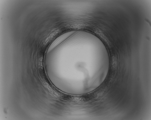 X0000101660585200807241419