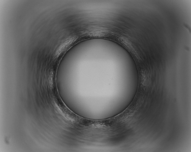 X0000101660586200807241419