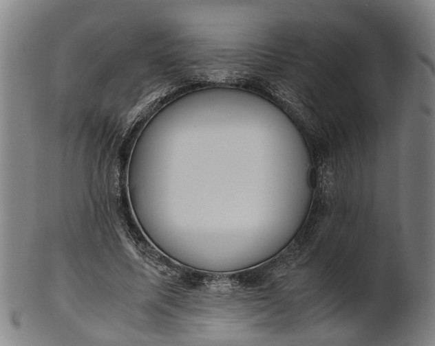 X0000101660587200807241419