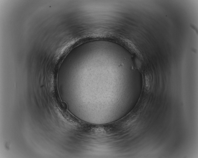 X0000101660588200807241419