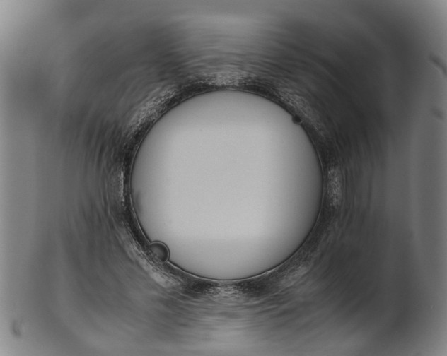 X0000101660589200807241419