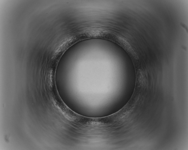 X0000101660590200807241419