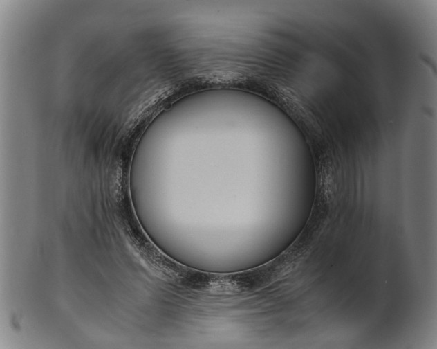 X0000101660591200807241419