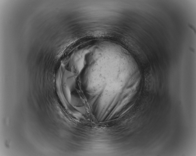 X0000101660592200807241419