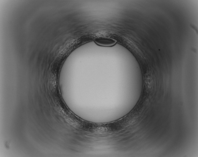 X0000101660593200807241419