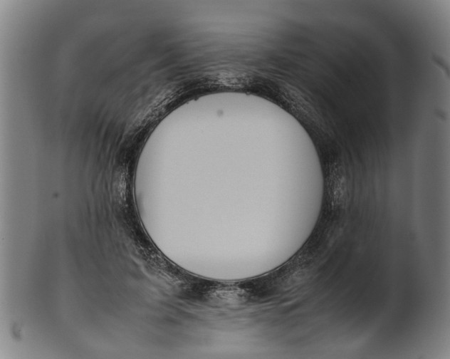 X0000101660595200807241419