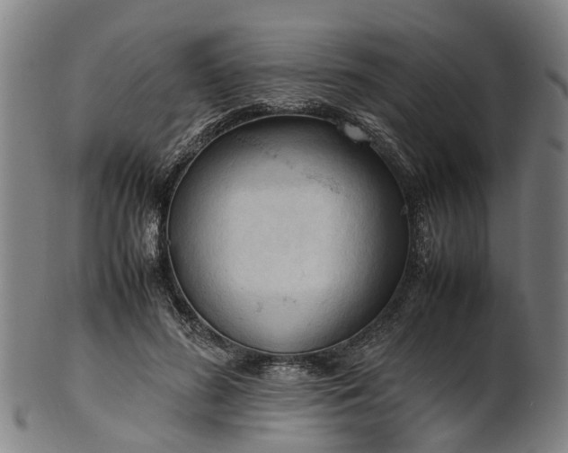 X0000101660596200807241419